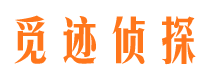 将乐市侦探公司